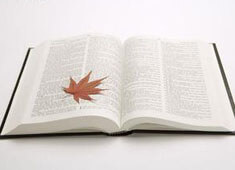 建业客场战胜天海，结束连败