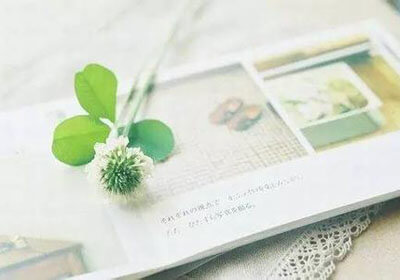 赫塔菲球员状态出色，轻取弱旅晋级积分榜前列