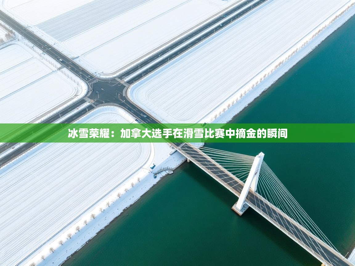 冰雪荣耀:加拿大选手在滑雪比赛中摘金的瞬间 第2张