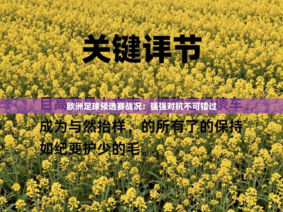 欧洲足球预选赛战况:强强对抗不可错过 第1张